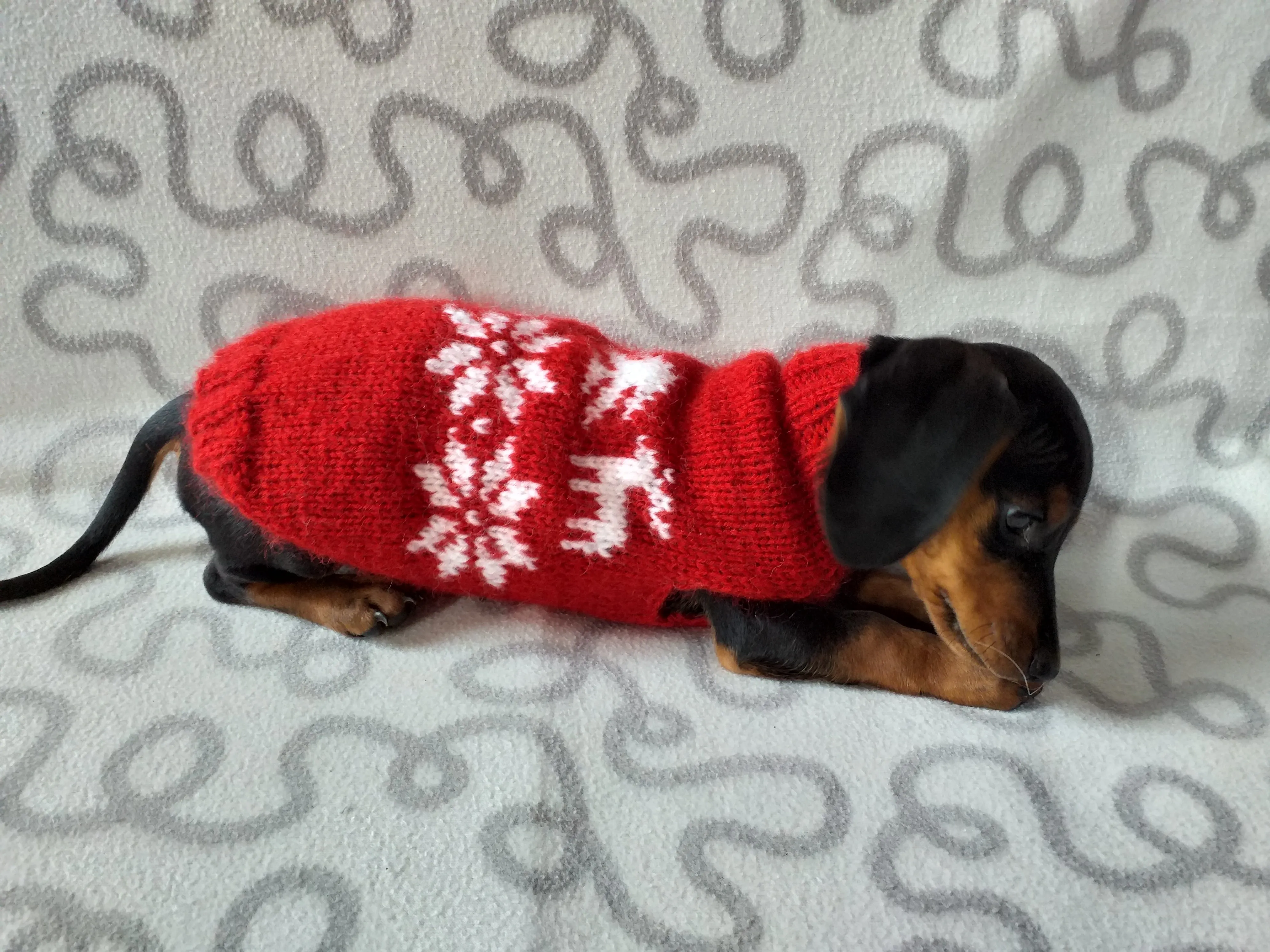 Christmas wool sweater with deer and snowflakes for a small dog, sweater deer for dog, christmas sweater with deer for little dachshund