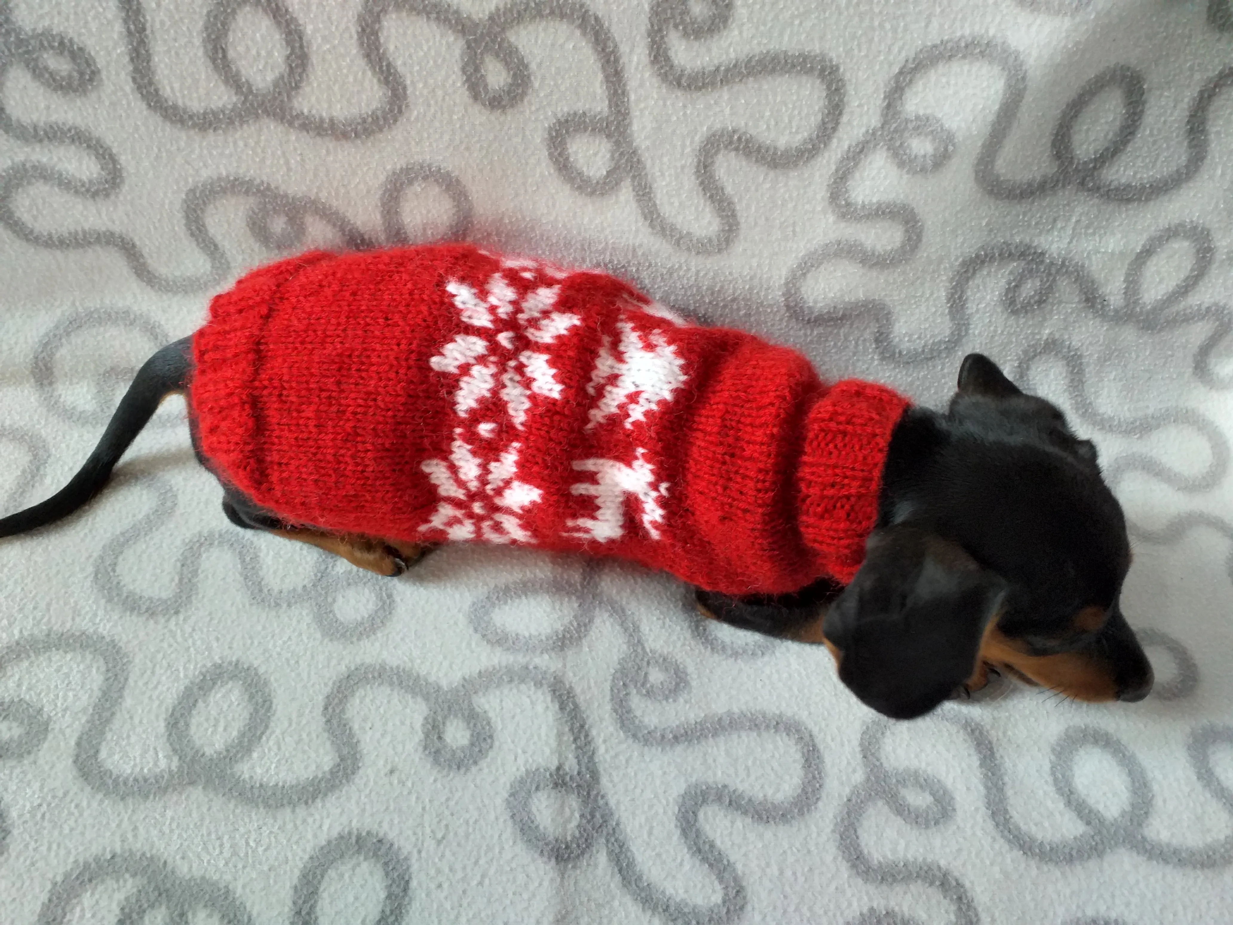 Christmas wool sweater with deer and snowflakes for a small dog, sweater deer for dog, christmas sweater with deer for little dachshund