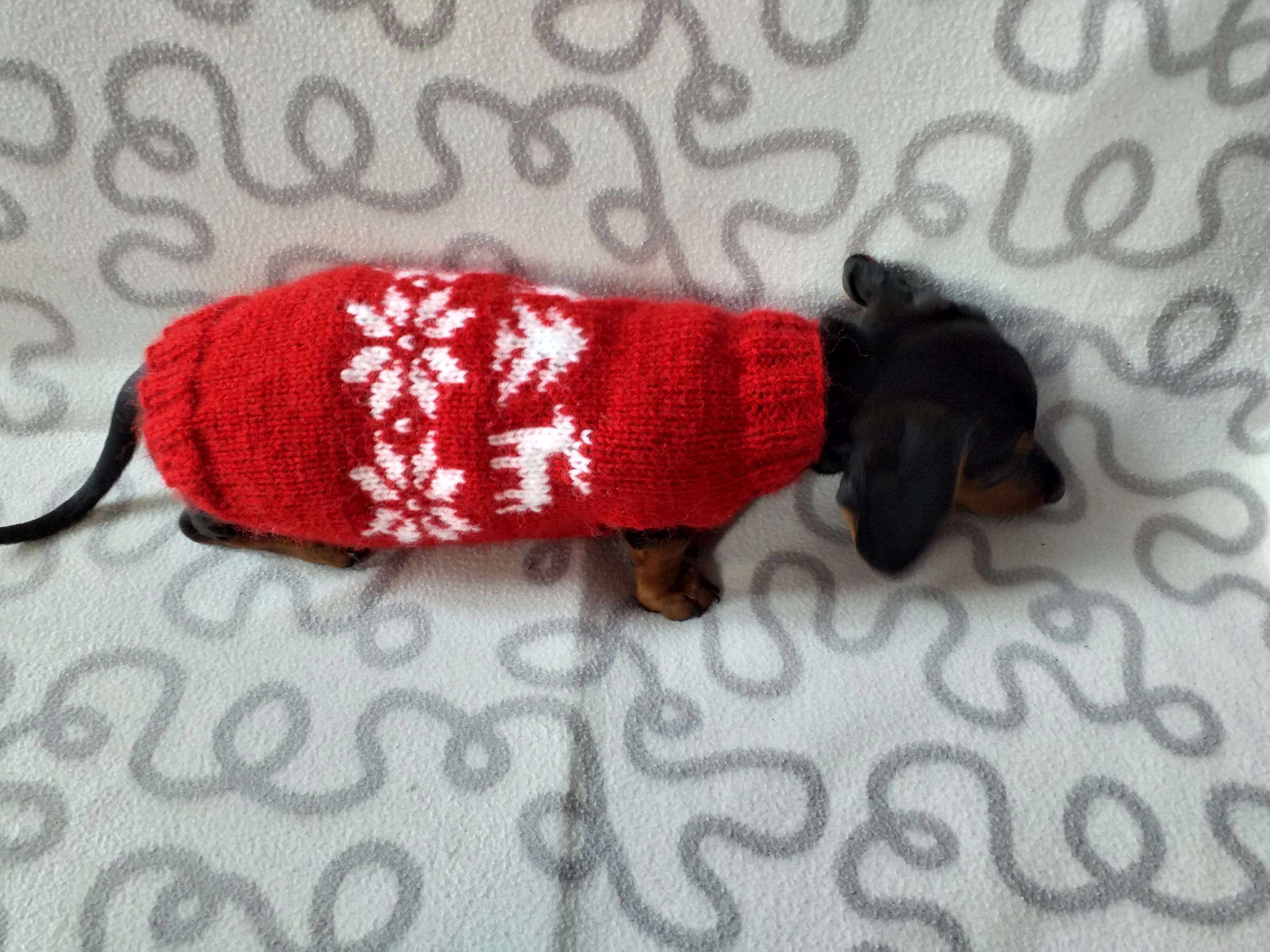 Christmas wool sweater with deer and snowflakes for a small dog, sweater deer for dog, christmas sweater with deer for little dachshund