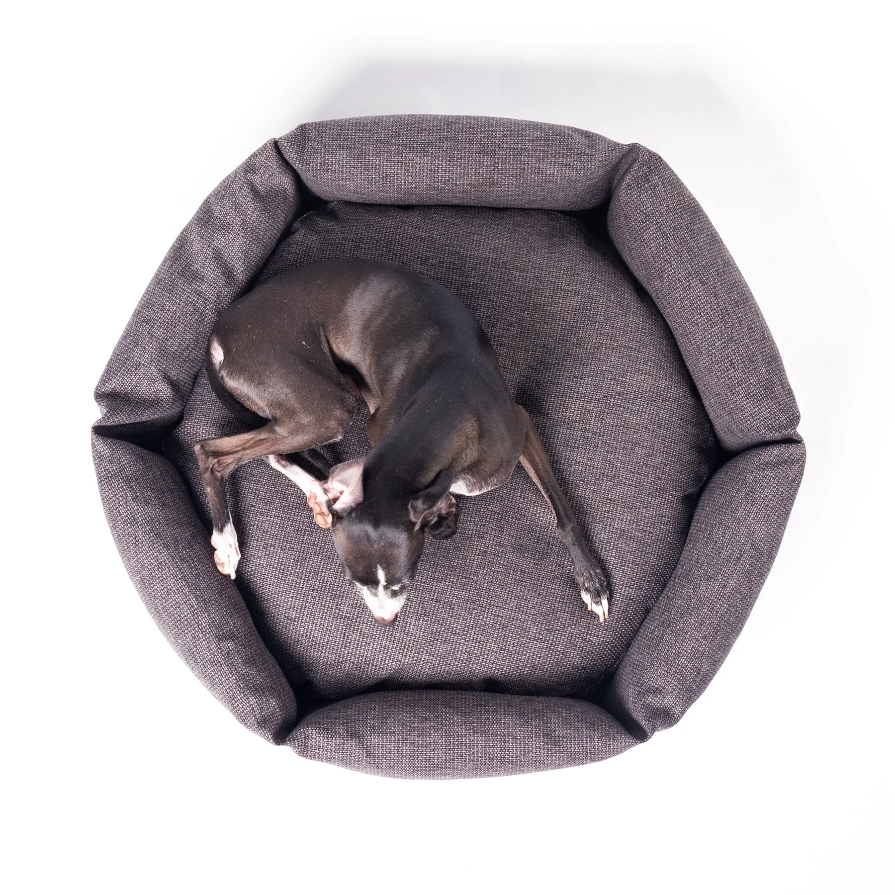 Ducky Donut Dog Bed in Weave II