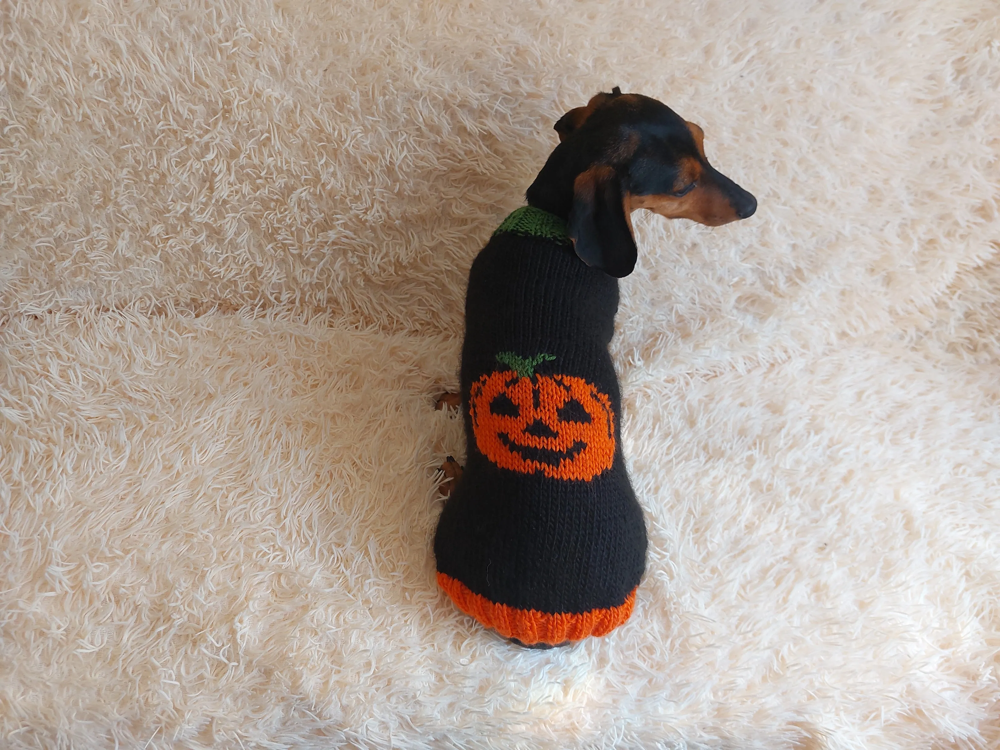 Halloween clothes for pets-halloween pumpkin sweater for dog-halloween holiday sweater for dogs-pumpkin sweater halloween gift