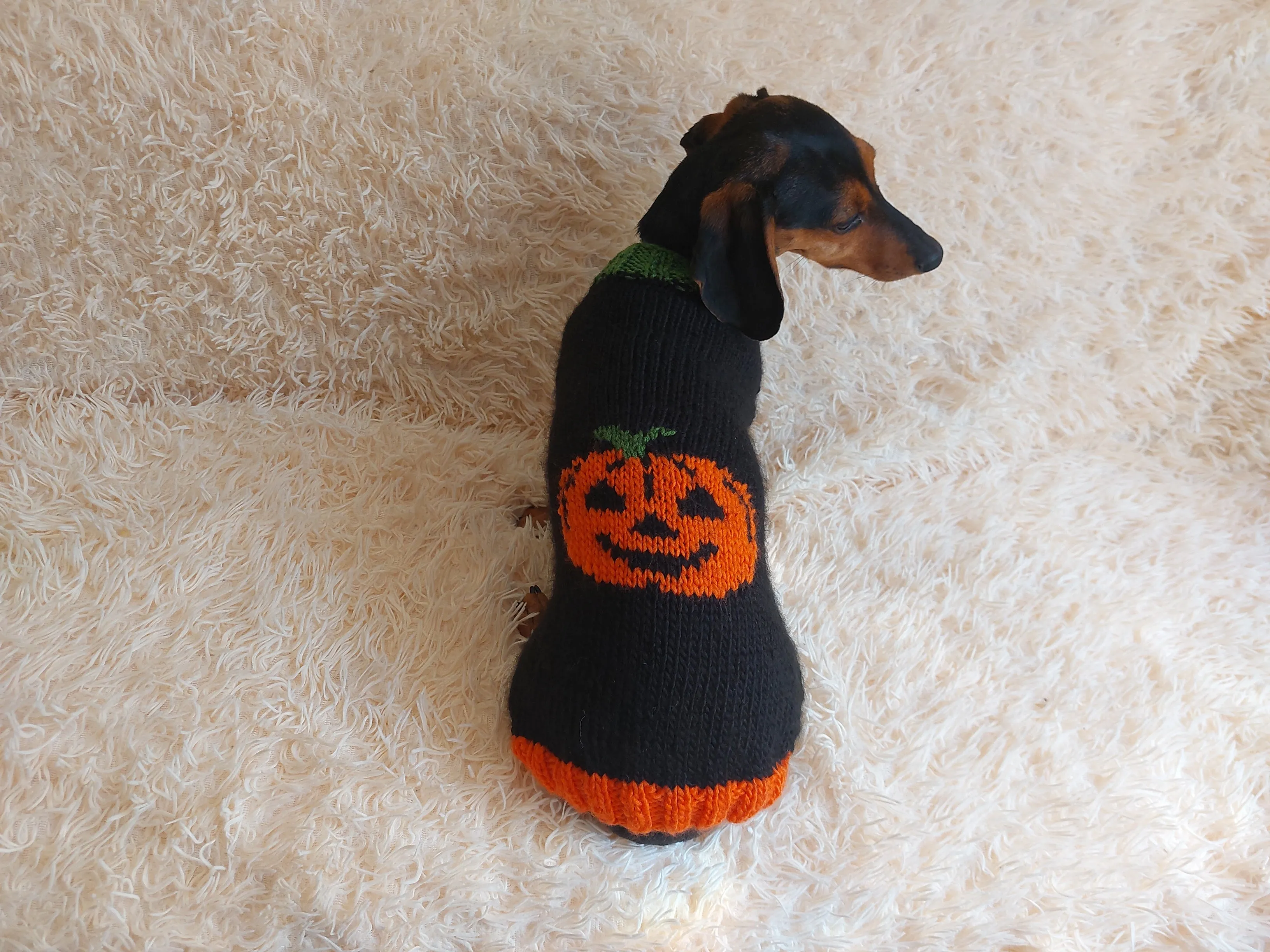 Halloween clothes for pets-halloween pumpkin sweater for dog-halloween holiday sweater for dogs-pumpkin sweater halloween gift