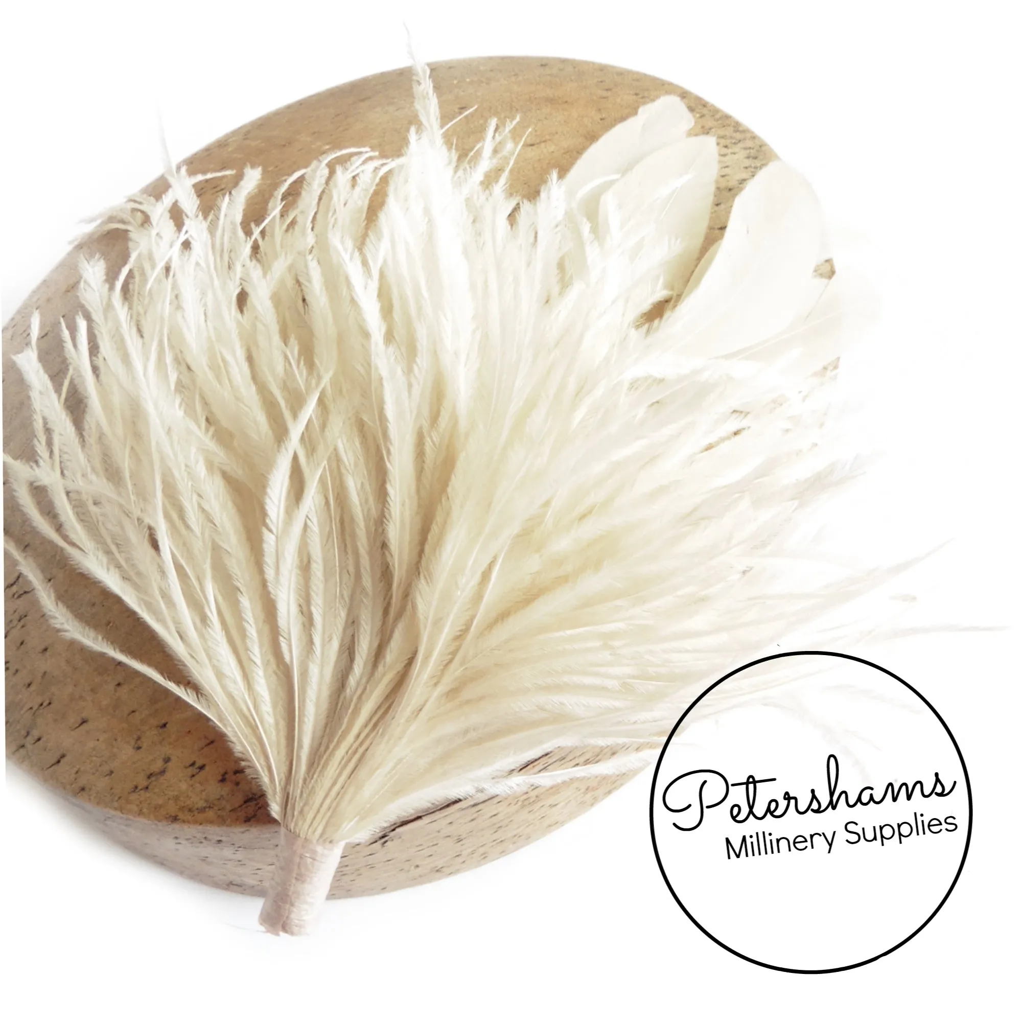 Ostrich & Stripped Coque Feather Mount