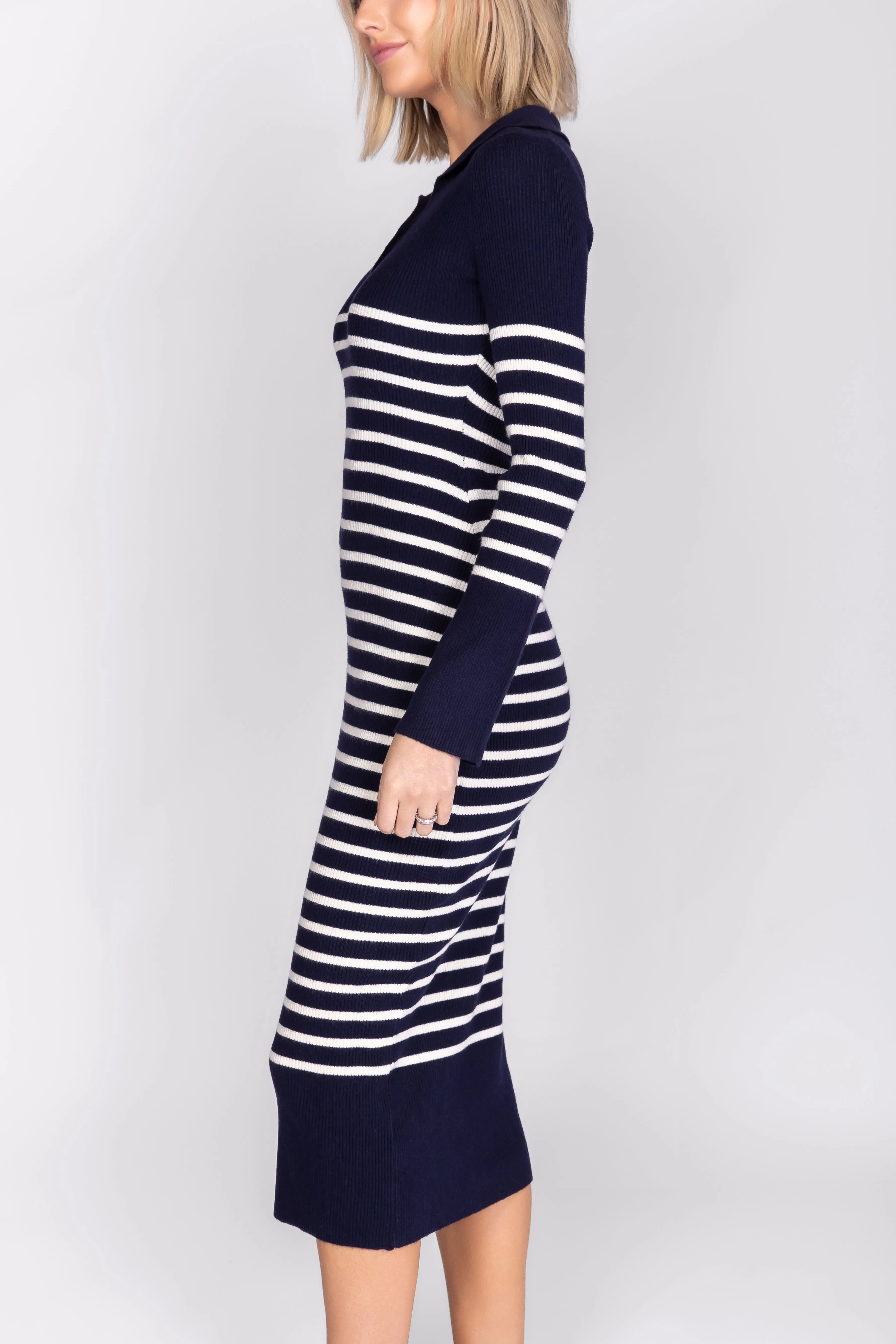 Phoenix Dress (Navy Striped)